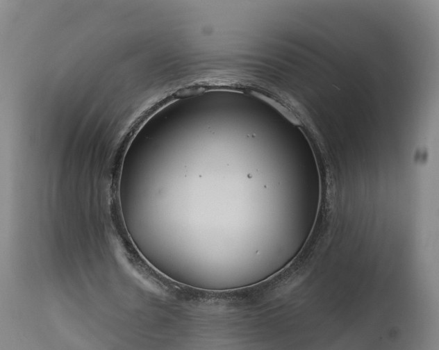 X0000112890530200908281703