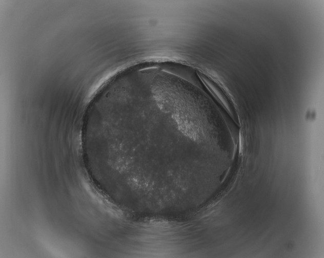 X0000112890531200908281703