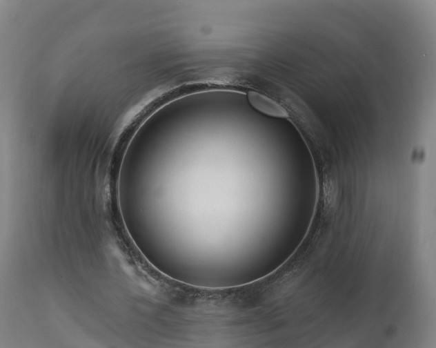 X0000112890532200908281703