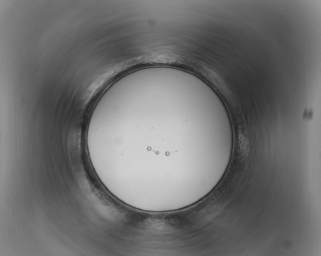 X0000112890534200908281703