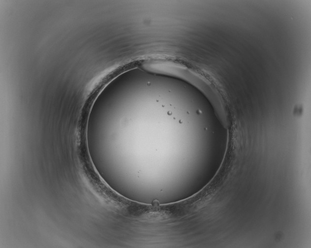 X0000112890536200908281703