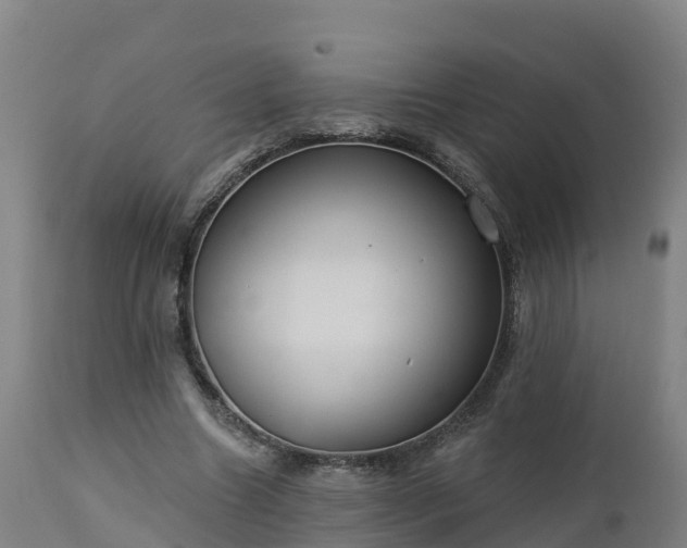 X0000112890538200908281703