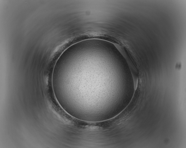 X0000112890539200908281703