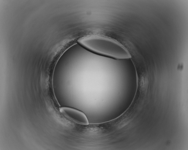 X0000112890540200908281703