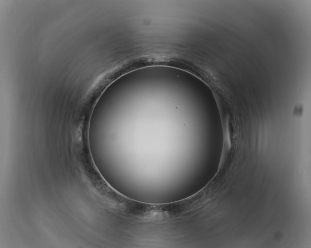 X0000112890543200908281703