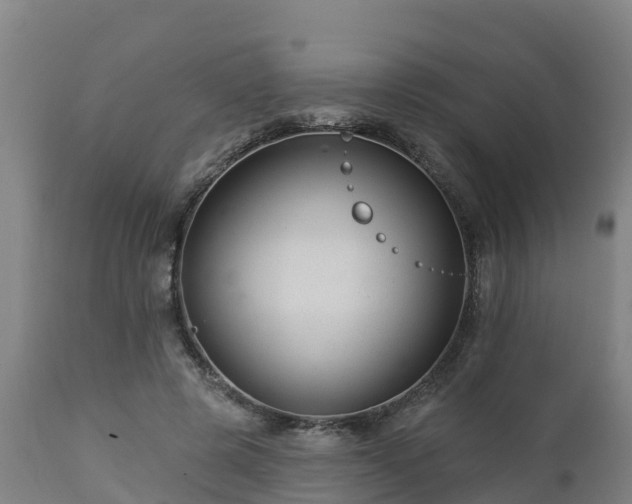 X0000112890545200908281703