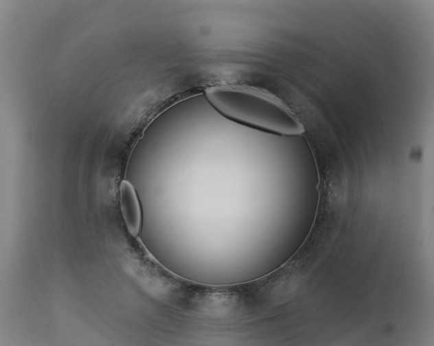 X0000112890546200908281703
