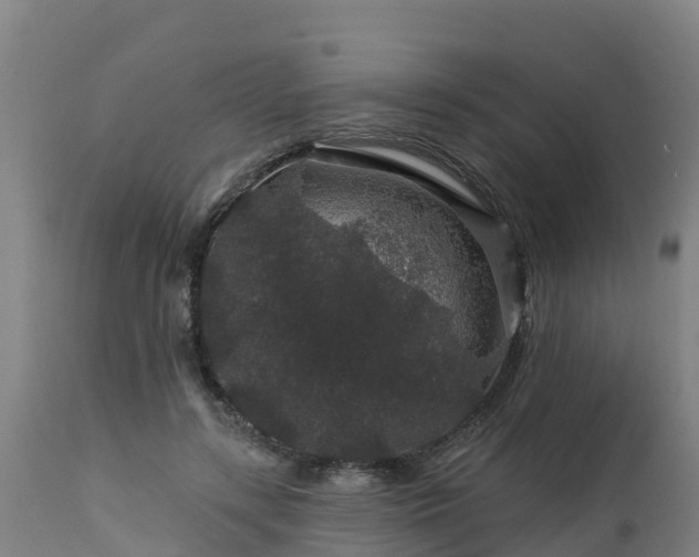 X0000112890547200908281703