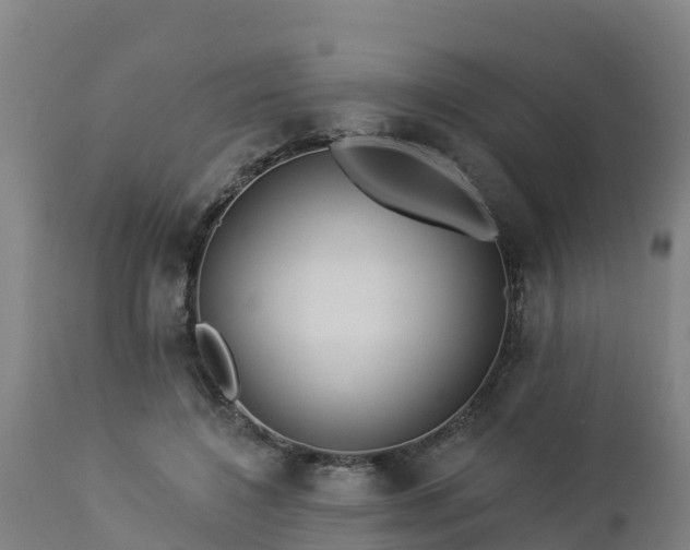 X0000112890548200908281703