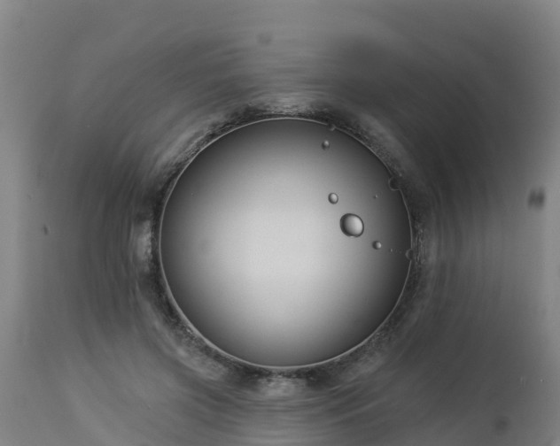X0000112890549200908281703