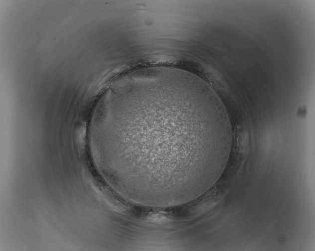 X0000112890550200908281703