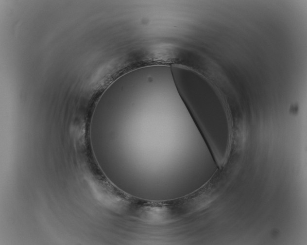 X0000112890552200908281703