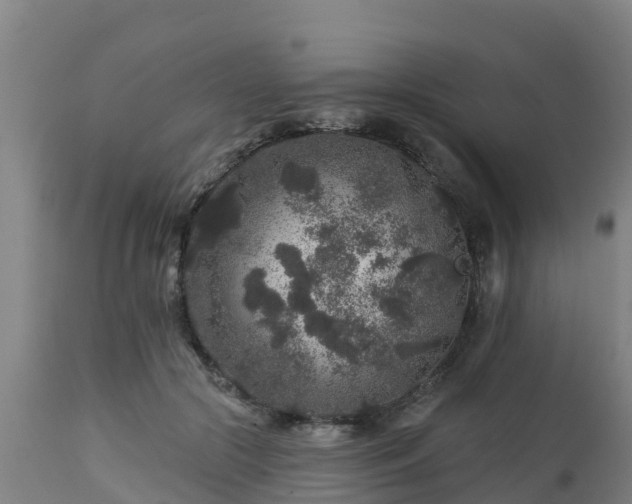 X0000112890553200908281703