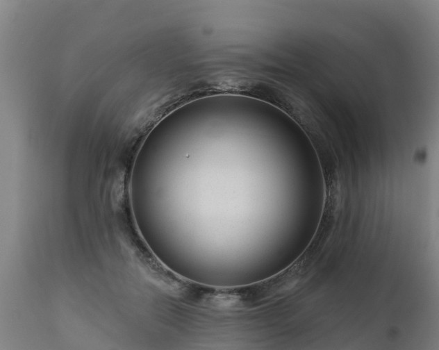 X0000112890554200908281703
