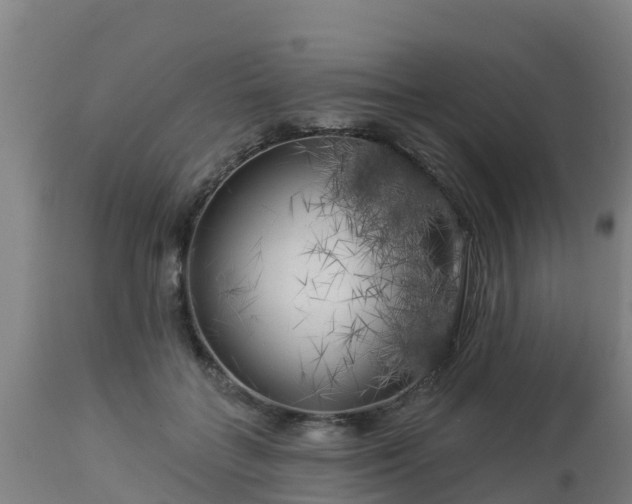 X0000112890555200908281703