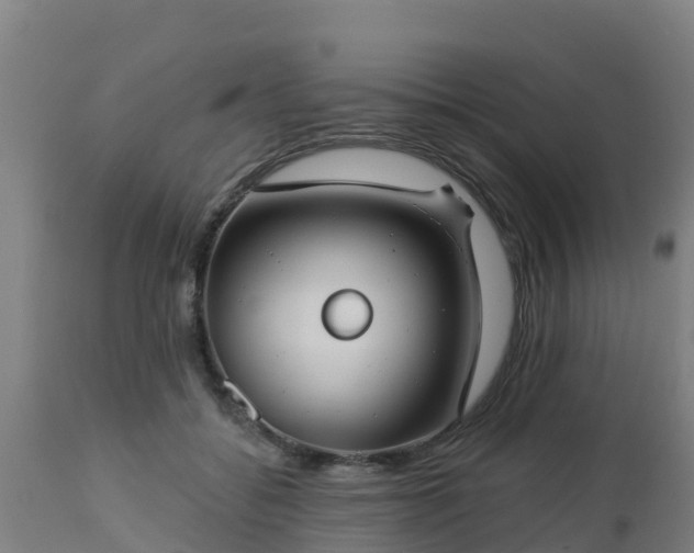 X0000112890556200908281703