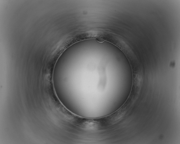 X0000112890557200908281703