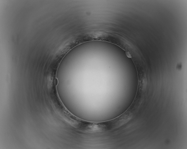 X0000112890558200908281704