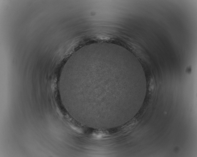 X0000112890559200908281704