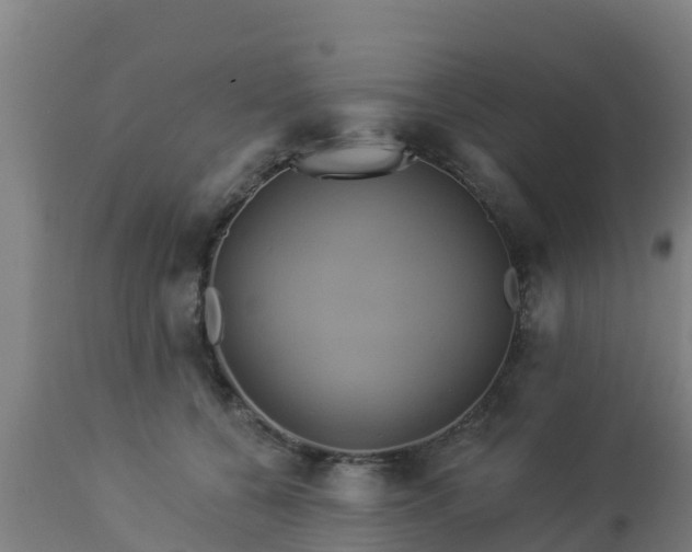 X0000112890560200908281704