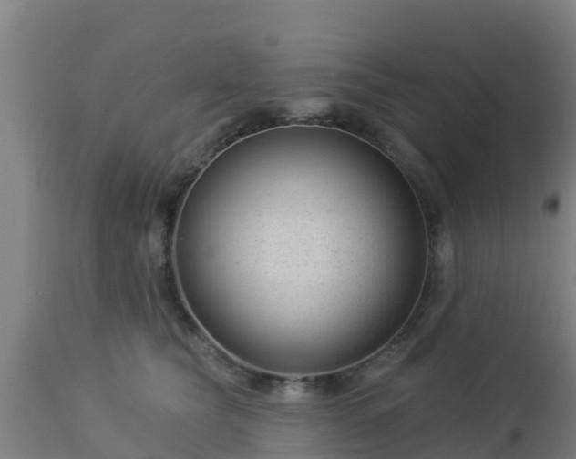X0000112890565200908281704