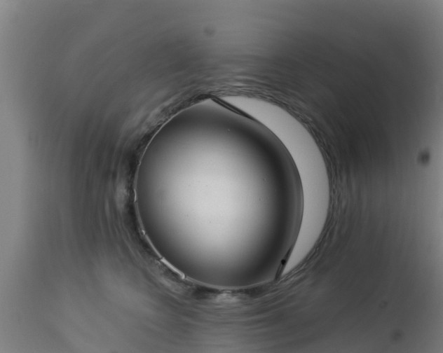 X0000112890566200908281704