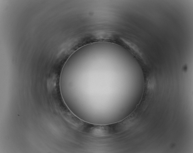 X0000112890567200908281704