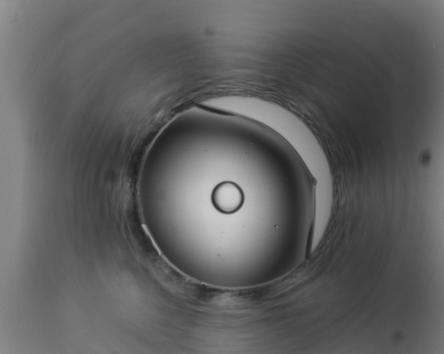 X0000112890568200908281704