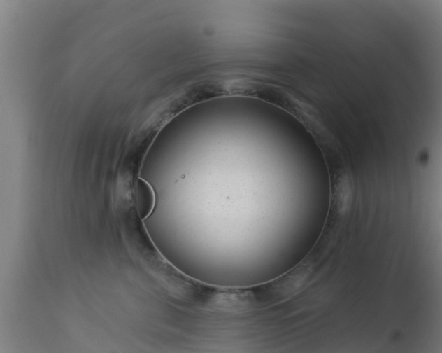 X0000112890571200908281704
