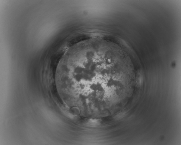 X0000112890573200908281704