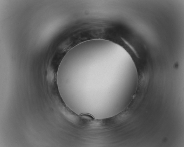 X0000112890574200908281704