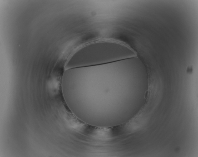 X0000112890576200908281704