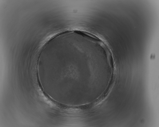 X0000112890577200908281703