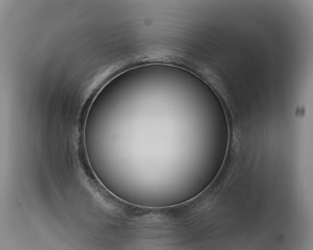 X0000112890578200908281703