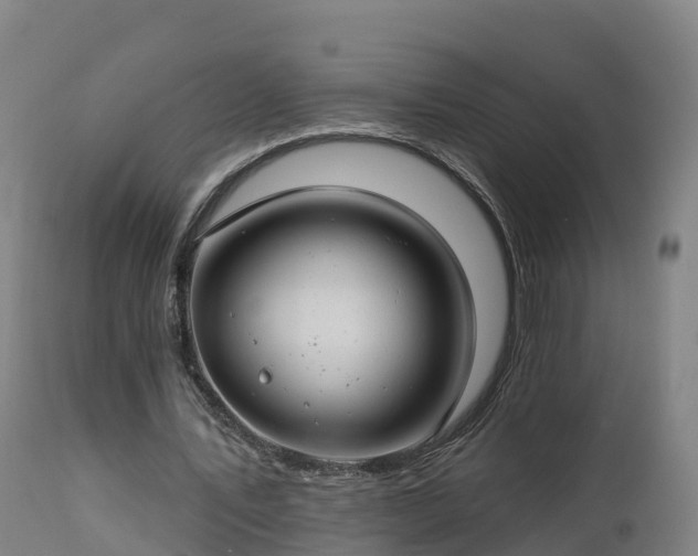 X0000112890579200908281703