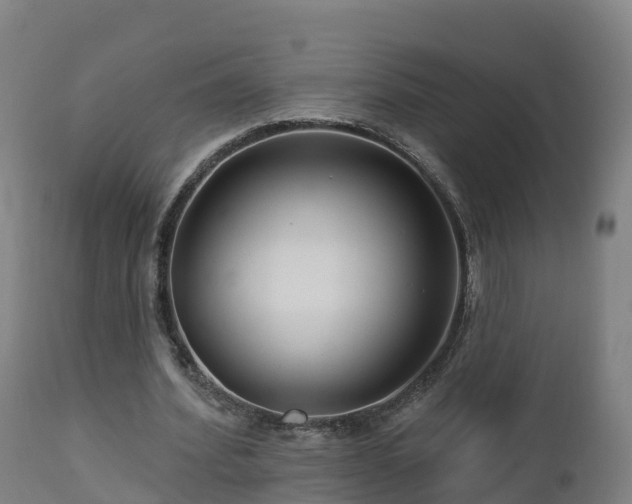 X0000112890580200908281703