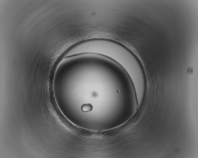 X0000112890581200908281703