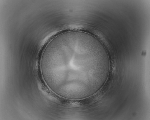 X0000112890583200908281703