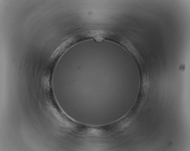 X0000112890585200908281703