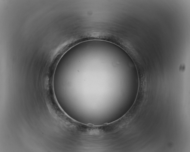 X0000112890587200908281703