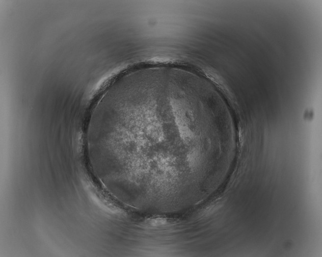 X0000112890588200908281703