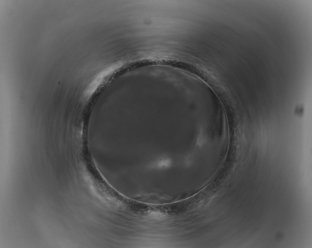 X0000112890592200908281703