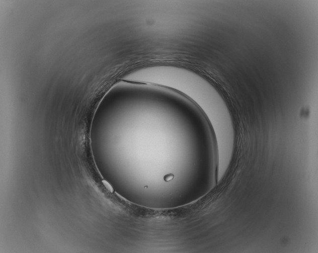 X0000112890593200908281703