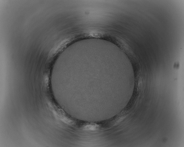 X0000112890595200908281703