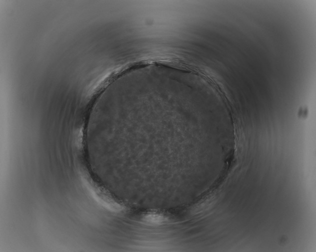 X0000112890596200908281703