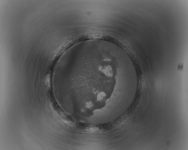 X0000112890598200908281703
