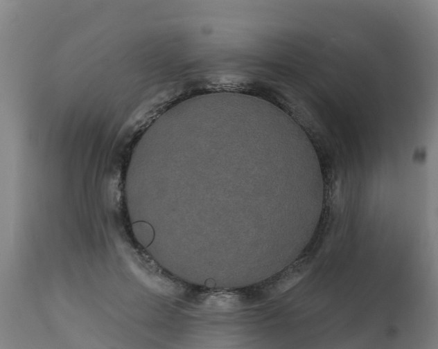 X0000112890599200908281703