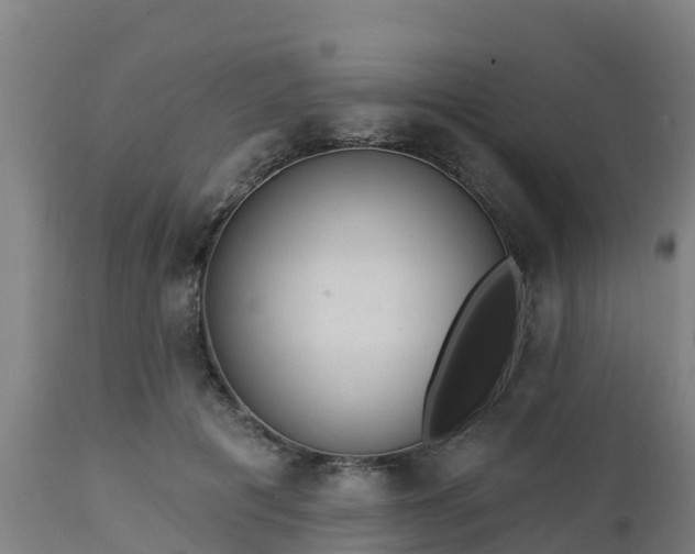 X0000112890601200908281703