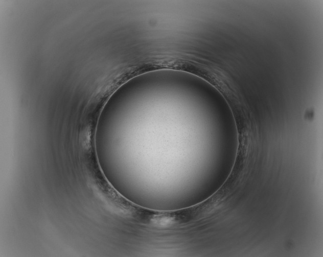 X0000112890602200908281703