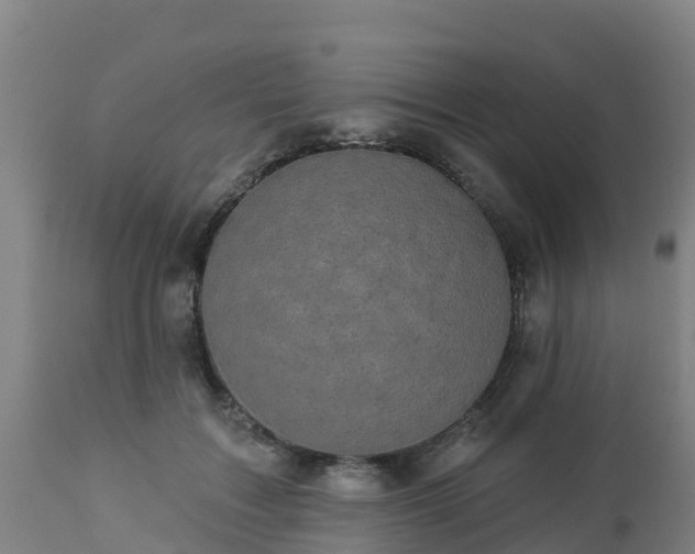 X0000112890603200908281703